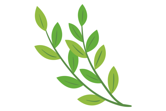 Botanical Element: Graphics for Branding & Illustrations