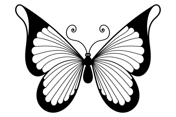 Butterfly Black Decorative Element. Eleg