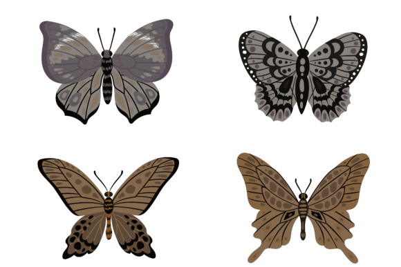 Butterfly Decorative Design: Graphics & Illustrations for Branding