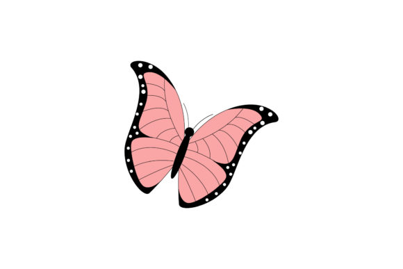 Butterfly Summer Decorative Graphics and Illustrations