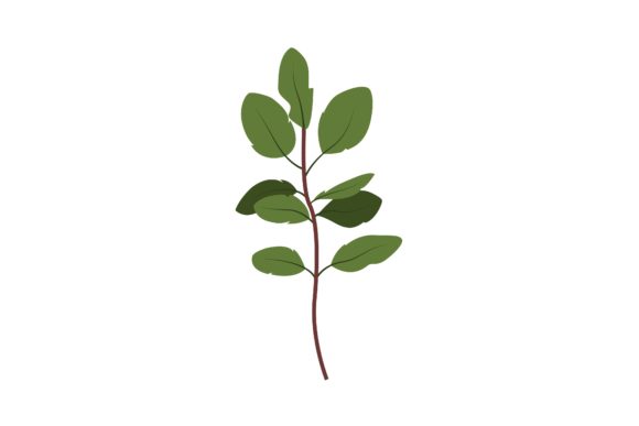 Decorative Fresh Twig Illustration Graphics