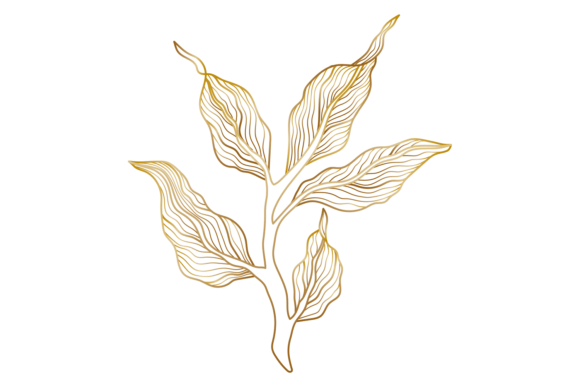 Decorative Golden Line Leaves. Elegant B Graphics