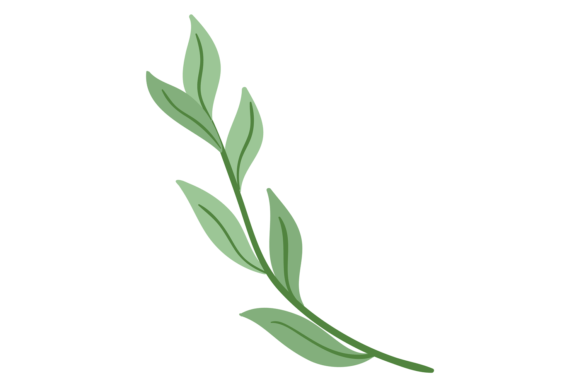 Green Branch: Botanical Graphics for Editorial Design