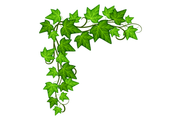 Green Ivy Corner: Graphics for Natural Design